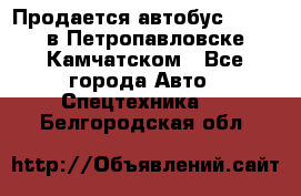 Продается автобус Daewoo в Петропавловске-Камчатском - Все города Авто » Спецтехника   . Белгородская обл.